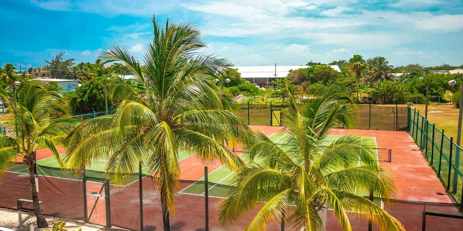 Tennis/padel court complex with red clay courts, green fencing, and tall palm trees under a bright blue sky.
