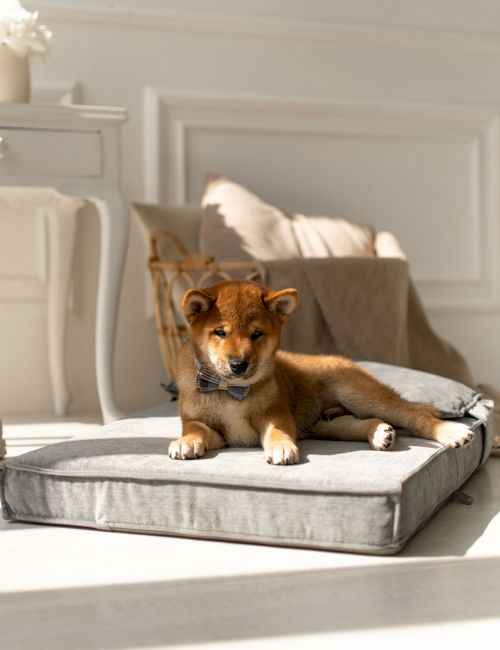 Grand Baymen Gardens