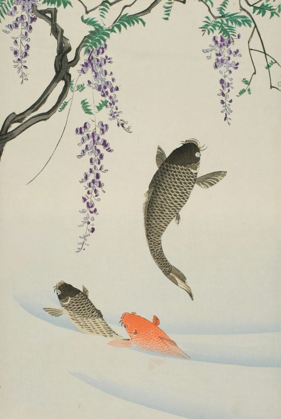 An illustrated scene of fish and birds floating near purple berry clusters and leafy branches, with calm, pale blue water behind them.