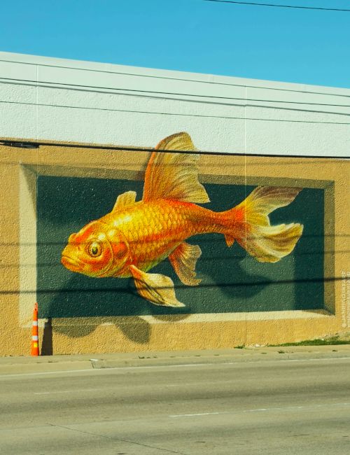 A colorful mural of a lionfish swimming across a painted wall, with bright fins and bold ocean colors, on a street corner.